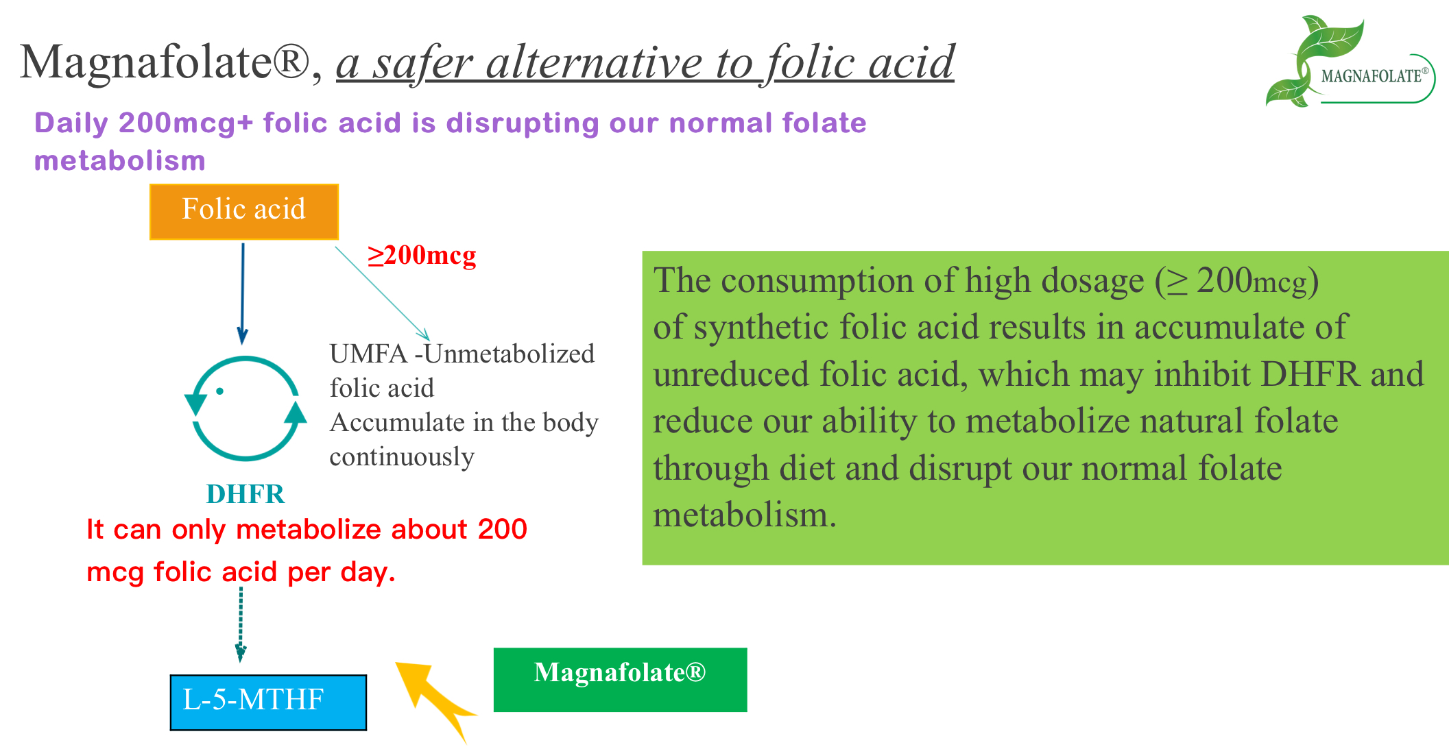 Magnafolate, une alternative plus sûre à l'acide folique