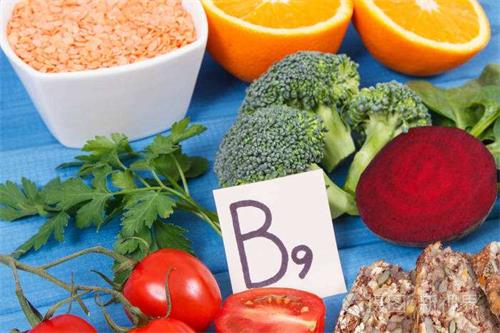 Quelle est la source la plus saine de vitamine B9-Magnafolate