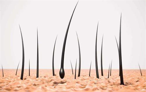 L'acide folique est-il bon pour la croissance des cheveux ? Magnafolate