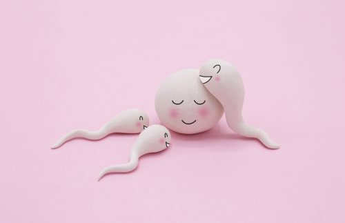 L'acide folique peut améliorer la fertilité -Magnafolate