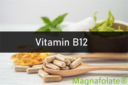Vitamine B12：Introduction,Bénéfice,Santé