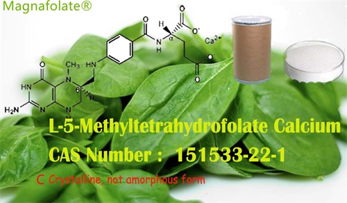 Le L-5-méthyltétrahydrofolate et l'acide folique sont-ils identiques ?