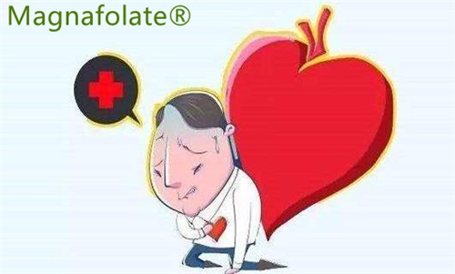 L-5-méthylfolate : peut réduire le risque d’accident vasculaire cérébral et de crise cardiaque