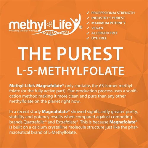Qu'est-ce que le L-méthylfolate (5-MTHF)
