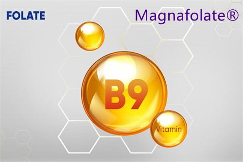 Pourquoi le folate est-il important ?