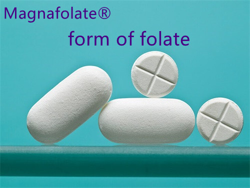 La forme du folate est-elle importante ?