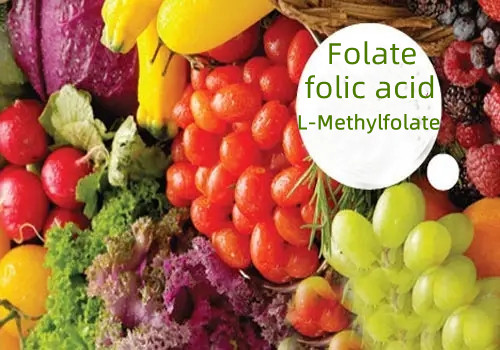 Folate (acide folique) et L-méthylfolate