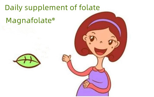 Supplément quotidien de folate recommandé pour prévenir les malformations congénitales