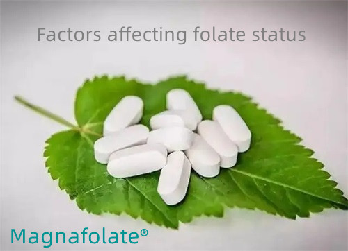 Plusieurs facteurs affectant le statut en folate