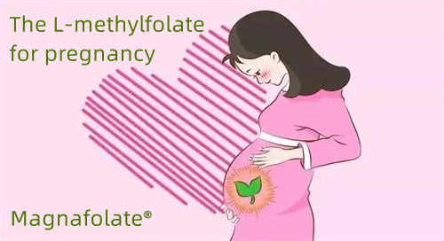 Folate et L méthylfolate chez les personnes enceintes