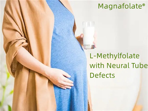 Folate, L-méthylfolate avec anomalies du tube neural