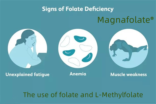 L'utilisation du folate et du L-méthylfolate