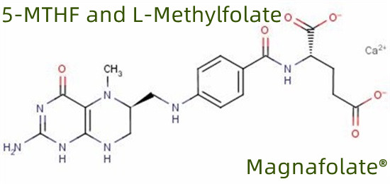 5-MTHF et L-méthylfolate