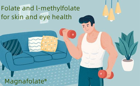 Folate et L-méthylfolate pour la santé de la peau et des yeux