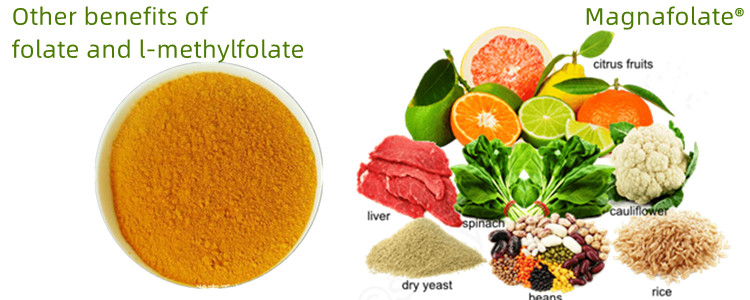Autres avantages du folate et du L-méthylfolate