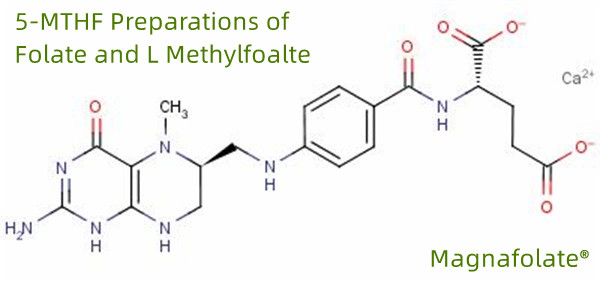 Préparations de 5-MTHF de folate et de L méthylfoalte