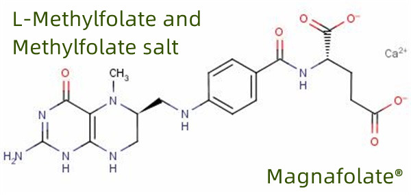 Fabricant et fournisseur mondial de L méthylfolate