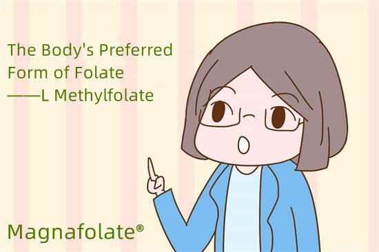 La forme préférée de folate du corps