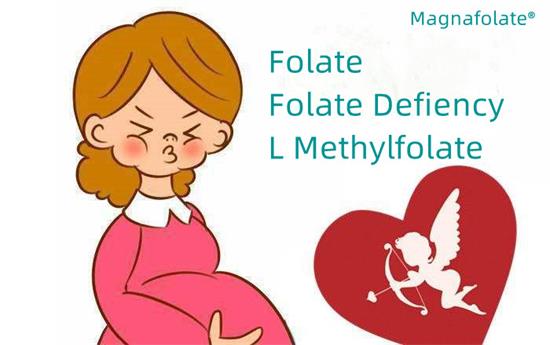 Folate et déficit en folate
