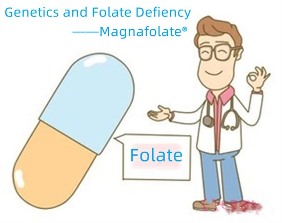 Génétique et déficit en folate-Magnafolate