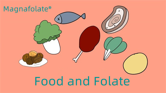 Aliments et folates L Méthylfolate de calcium