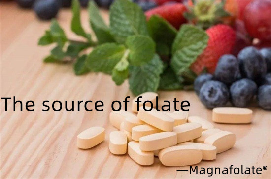 La source de folate et d'acide folique