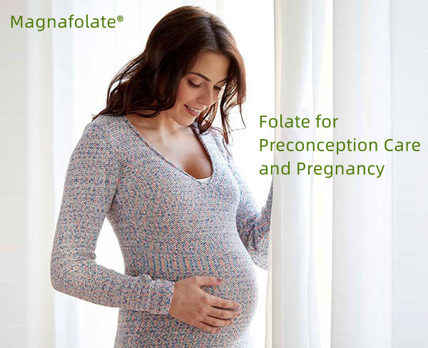 Pourquoi le folate est-il particulièrement important pour les personnes susceptibles de devenir enceintes ?
