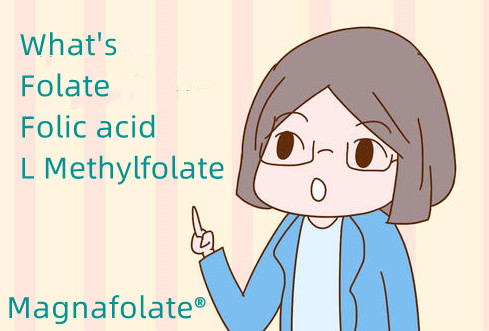 Qu'est-ce que le folate, l'acide folique et le L méthylfolate ?
