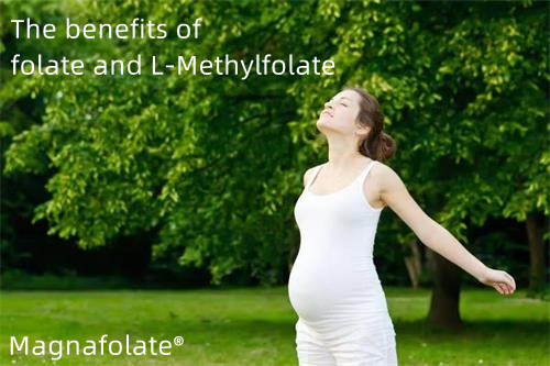 Folate et grossesse——Magnafolate