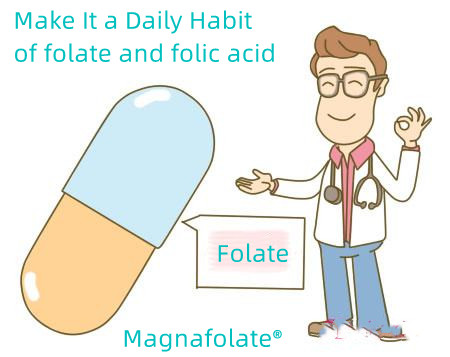 Acide folique et folate : faites-en une habitude quotidienne