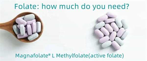 Folate : de combien avez-vous besoin ?