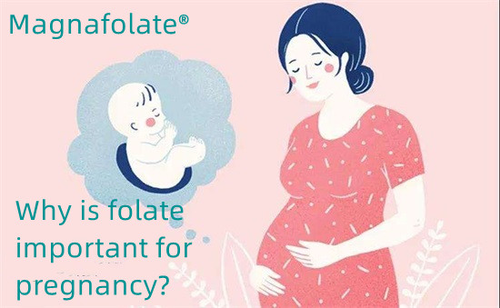 Prévenir les malformations congénitales et les complications de la grossesse
