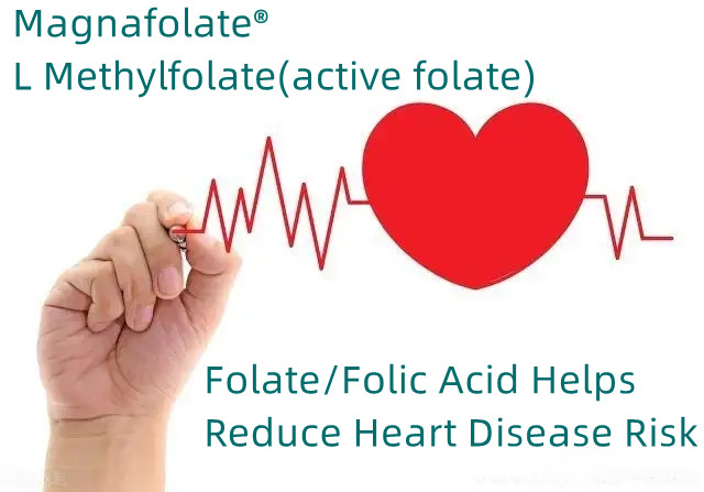 Le folate/acide folique aide à réduire le risque de maladie cardiaque