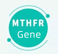 Qu'est-ce que cela signifie si vous avez le gène MTHFR ?