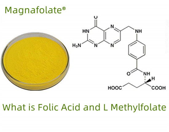Qu'est-ce que le folate VS l'acide folique VS le L-méthylfolate