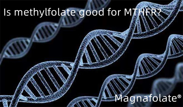 Le méthylfolate est-il bon pour le MTHFR ?