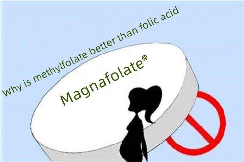 Pourquoi le L méthylfolate est-il meilleur que l'acide folique ?