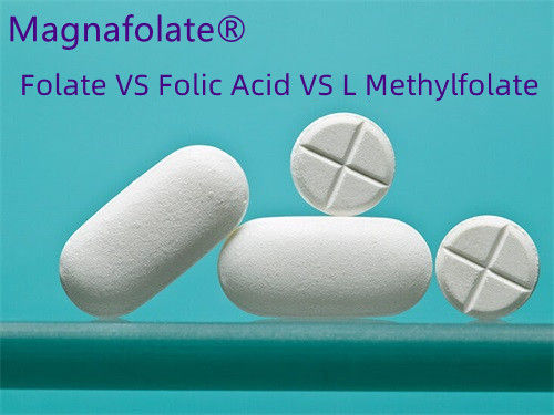 Acide folique ou folate : quel est le meilleur ?