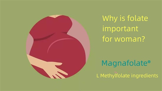 Pourquoi le folate est-il important pour la femme ?
