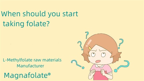 Quand faut-il commencer à prendre du folate ?