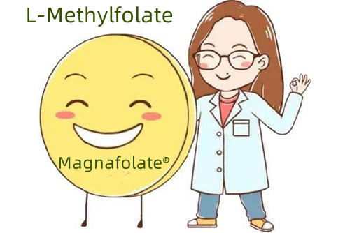 Pourquoi le méthylfolate est-il meilleur que l'acide folique ?