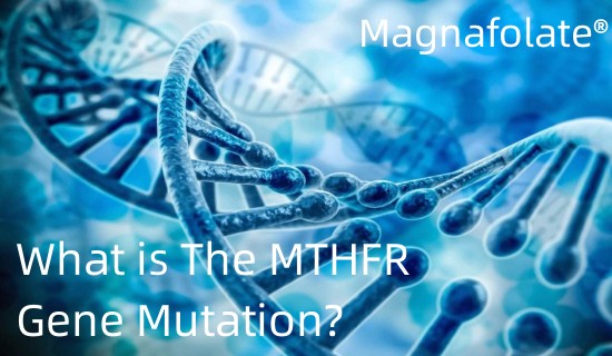 Qu’est-ce que la mutation du gène MTHFR ?