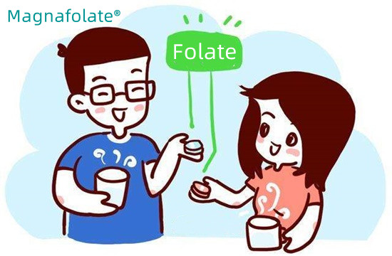 Quelle quantité de folate devriez-vous prendre par jour ?