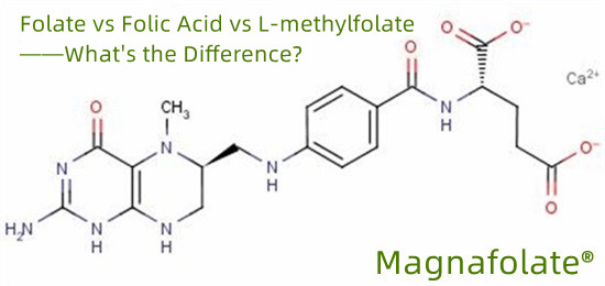 Le méthylfolate est-il une forme d’acide folique ?
