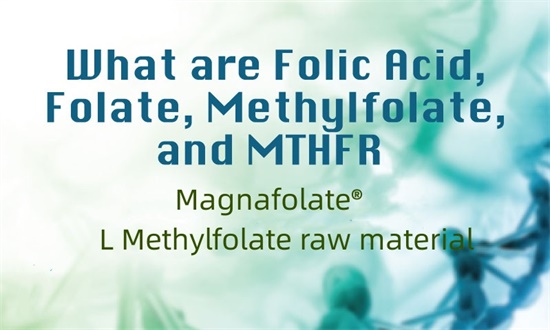 Que sont l'acide folique, le folate, le méthylfolate et le MTHFR ?
