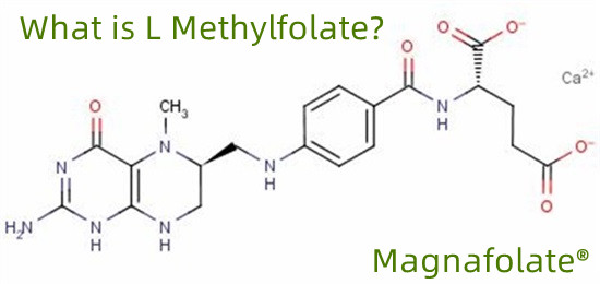 L-méthylfolate 151533-22-1 haute pureté 99% 1000 g/sac