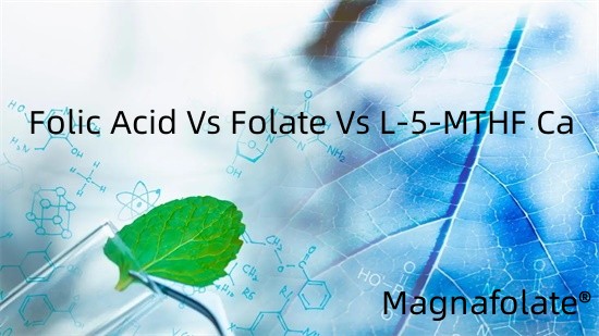 Acide folique contre folate contre L-5-MTHF Ca