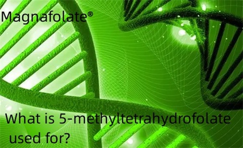 À quoi sert le 5-méthyltétrahydrofolate ?