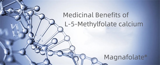 Avantages médicinaux du L-5-méthylfolate calcium