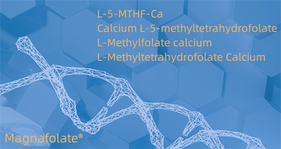 Calcium L-5-méthyltétrahydrofolate Cas151533-22-1